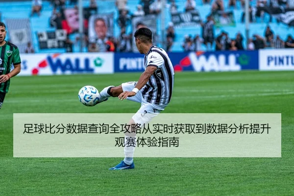 足球比分数据查询全攻略从实时获取到数据分析提升观赛体验指南