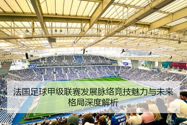 法国足球甲级联赛发展脉络竞技魅力与未来格局深度解析